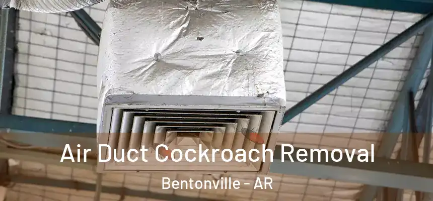 Air Duct Cockroach Removal Bentonville - AR