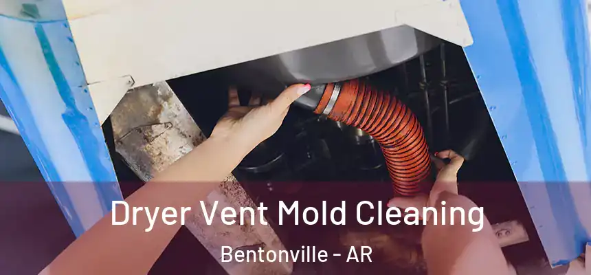 Dryer Vent Mold Cleaning Bentonville - AR