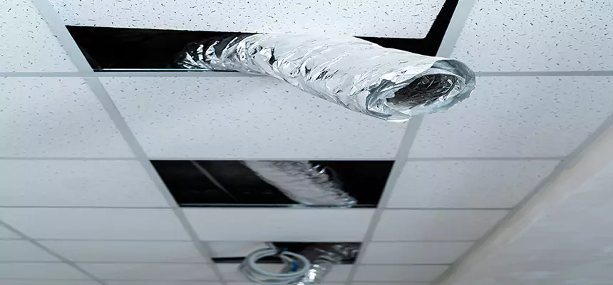 Affordable HVAC Sanitizing After Pest Removal in Bentonville