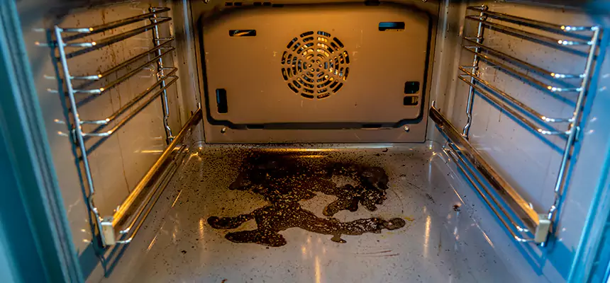 Our Dryer Vent Mold Cleaning Services in Bentonville, AR