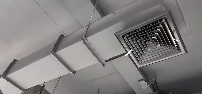 Our Pest Removal From Ducts Services in Bentonville, AR