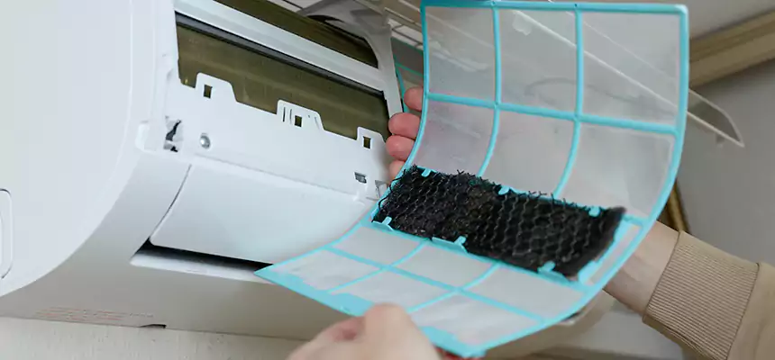 Gentle Ductwork Odor-Control Pet Dander Duct Cleaning in Bentonville, AR