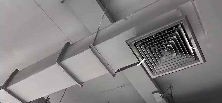 Our Rodent Droppings In Vents Services in Bentonville, AR