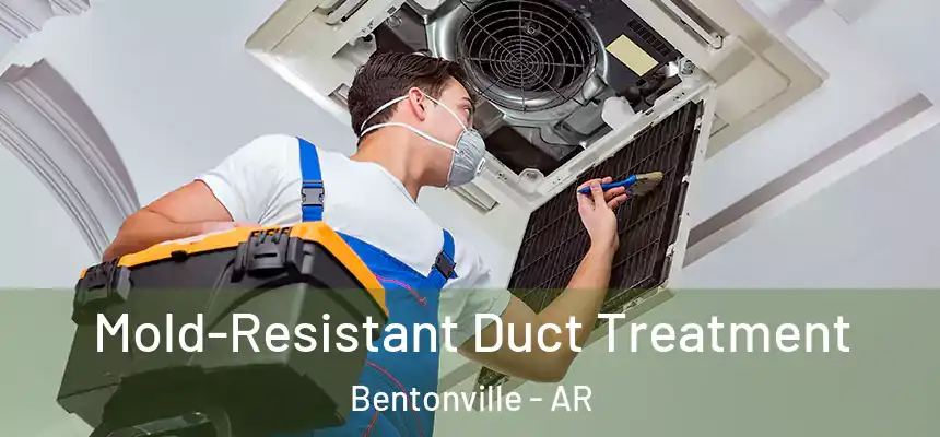  Mold-Resistant Duct Treatment Bentonville - AR