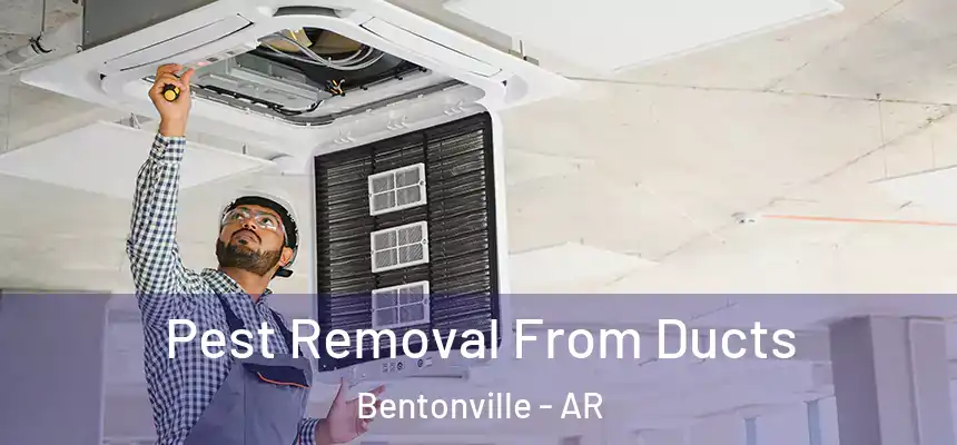 Pest Removal From Ducts Bentonville - AR