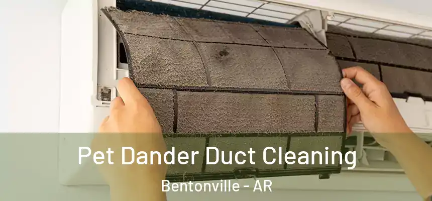 Pet Dander Duct Cleaning Bentonville - AR