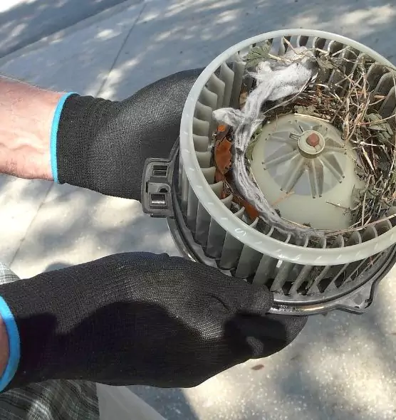 About Air Duct Mice Removal in Bentonville, AR