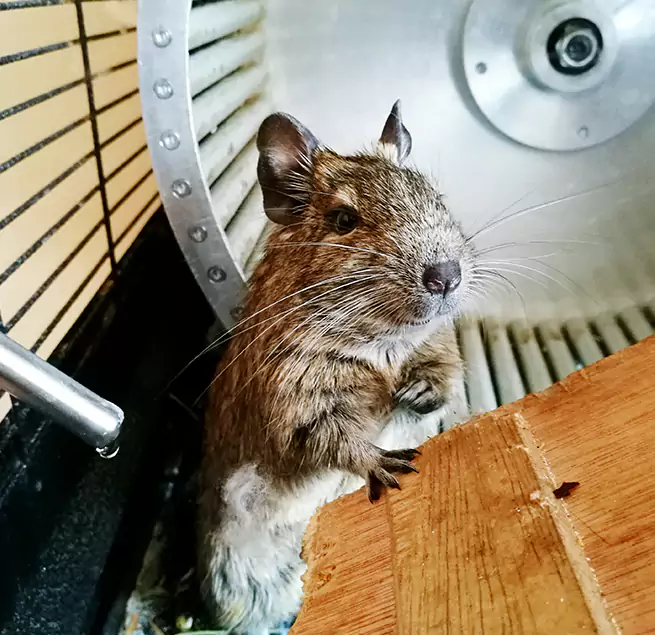 Why Homeowners & Businesses Trust Us Bentonville, AR